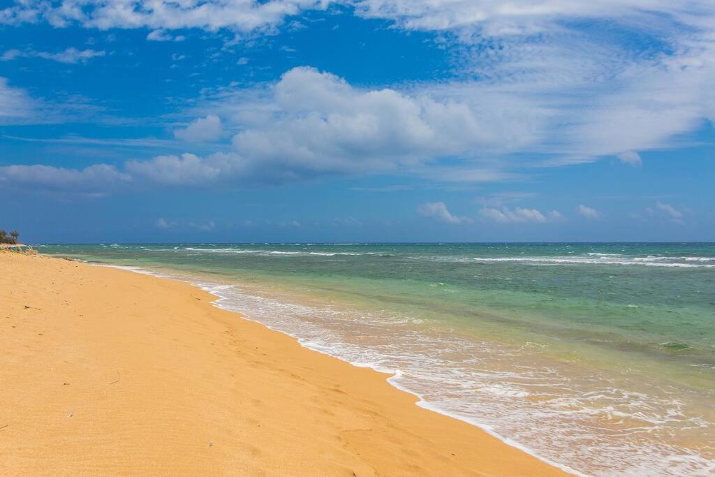 Islander Ocean Resort Condo # 166 卡帕阿 外观 照片